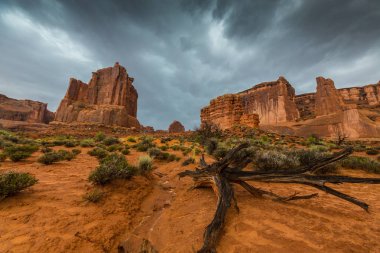 Damatic cennet ve fırtına Arches Ulusal Parkı, Utah