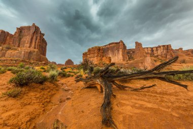 Damatic cennet ve fırtına Arches Ulusal Parkı, Utah