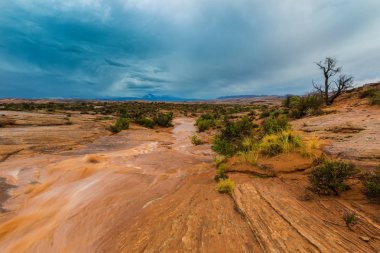 Fırtına bulutları, yağmur ve kırmızı jeolojik kumtaşı yapıları Utah çölde, Arches National Park