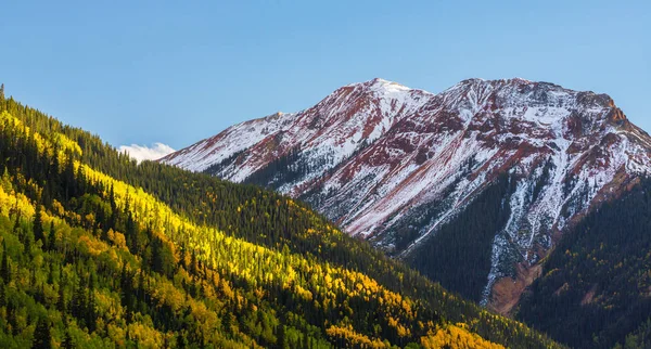 Vacker Höst Natur Telluride Colorado Ljus Solig Dag — Stockfoto