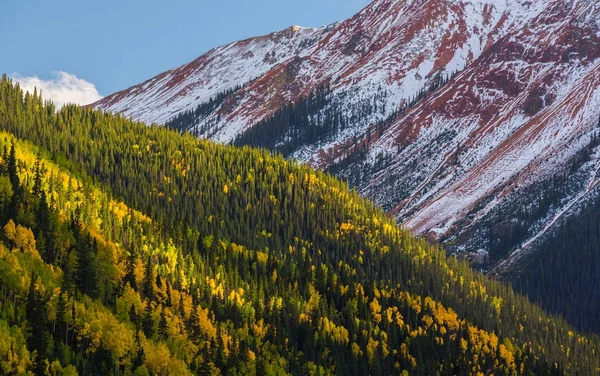 Bela Paisagem Outono Telluride Colorado Brilhante Ensolarado Dia — Fotografia de Stock