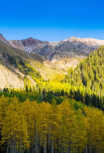 Vacker Höst Natur Telluride Colorado Ljus Solig Dag — Stockfoto