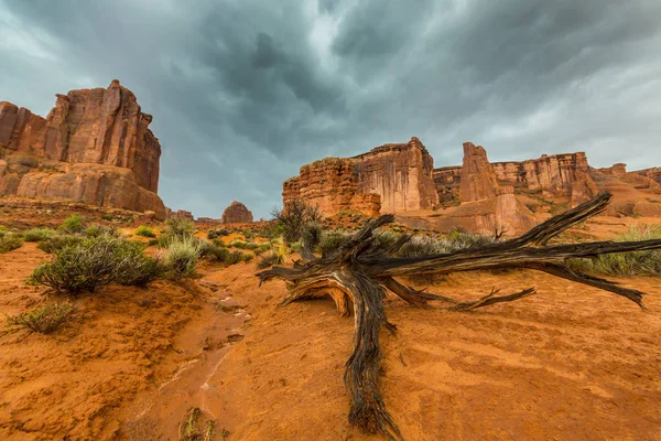 Damatic cennet ve fırtına Arches Ulusal Parkı, Utah