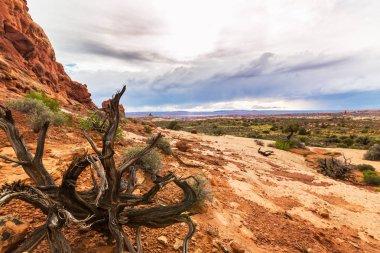 Fırtına bulutları, yağmur ve kırmızı jeolojik kumtaşı yapıları Utah çölde, Arches National Park