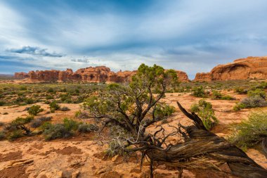 Dramatik fırtına bulutları, yağmur çölde, Arches National Park, Güz