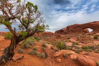 Dramatik fırtına bulutları, yağmur çölde, Arches National Park, Güz