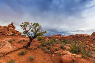 Dramatik fırtına bulutları, yağmur çölde, Arches National Park, Güz