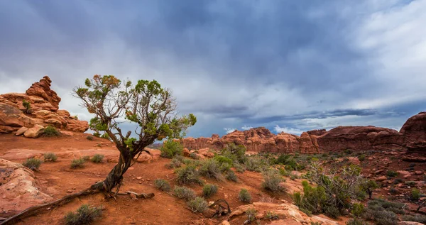 Dramatic storm clouds and rain in the desert, in the Arches National Park, in autumn