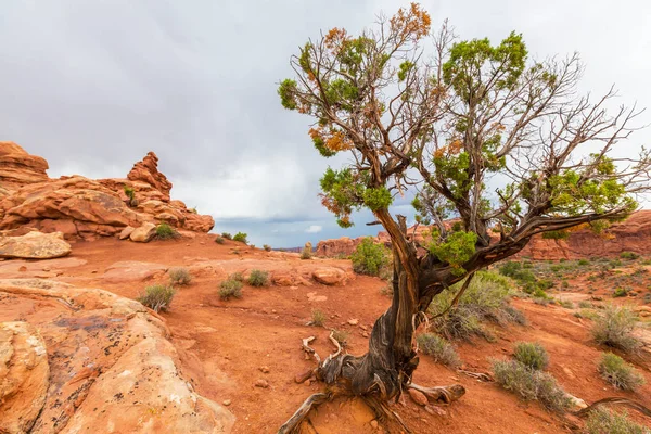 Dramatic Storm Clouds Rain Desert Arches National Park Autumn — Stock Photo, Image