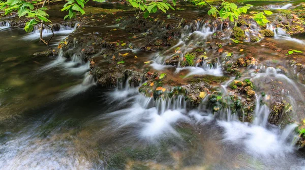 Paisaje Verano Bosque Con Hermoso Sendero Largo Del Río Salvaje — Foto de Stock