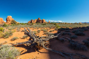 Arches Ulusal Parkı, Utah, parlak güneşli bir günde güzel sonbahar sahne