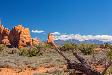 Arches Ulusal Parkı, Utah, parlak güneşli bir günde güzel sonbahar sahne