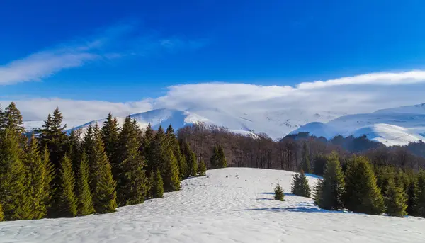 Beau Paysage Hiver Avec Neige Gelée Ciel Bleu Dans Les — Photo