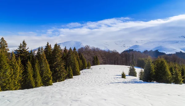 Beau Paysage Hiver Avec Neige Gelée Ciel Bleu Dans Les — Photo