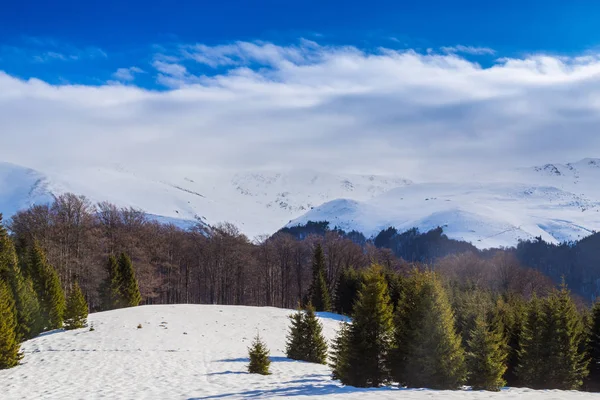 Bonito Cenário Inverno Com Neve Congelada Céus Azuis Nas Montanhas — Fotografia de Stock