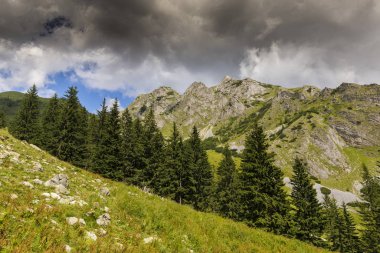 Alpler 'in yaz manzarası. Saf doğa ve buzul vadisi.