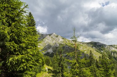 Alpler 'in yaz manzarası. Saf doğa ve buzul vadisi.