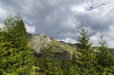 Alpler 'in yaz manzarası. Saf doğa ve buzul vadisi.