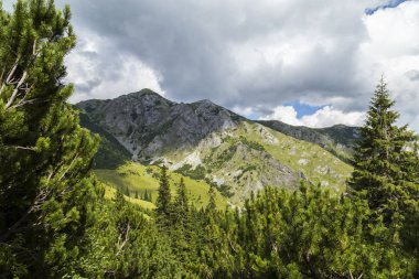 Alpler 'in yaz manzarası. Saf doğa ve buzul vadisi.