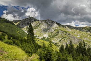 Alpler 'in yaz manzarası. Saf doğa ve buzul vadisi.