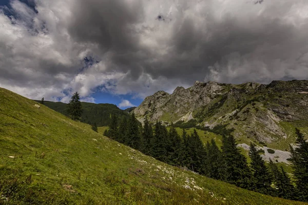 阿尔卑斯山中的夏季风景 有着纯洁的自然和冰川的山谷 — 图库照片