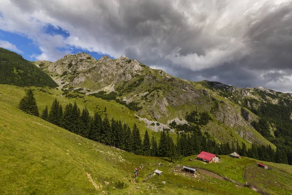 阿尔卑斯山中的夏季风景 有着纯洁的自然和冰川的山谷 — 图库照片