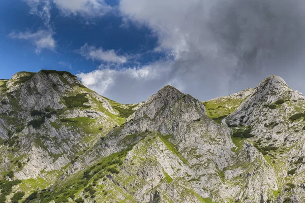 阿尔卑斯山中的夏季风景 有着纯洁的自然和冰川的山谷 — 图库照片