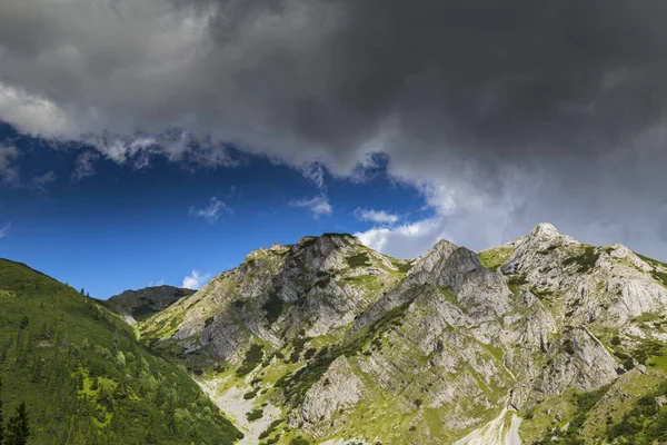 Alpler Yaz Manzarası Saf Doğa Buzul Vadisi — Stok fotoğraf