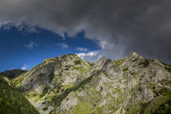 阿尔卑斯山中的夏季风景 有着纯洁的自然和冰川的山谷 — 图库照片