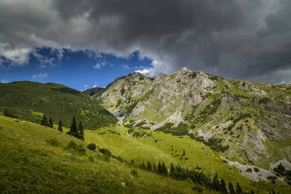 阿尔卑斯山中的夏季风景 有着纯洁的自然和冰川的山谷 — 图库照片