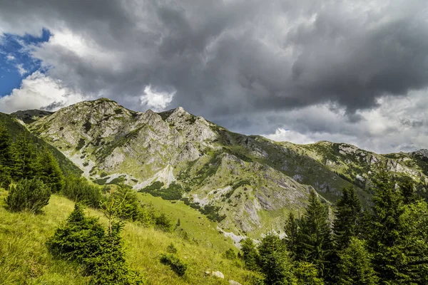 阿尔卑斯山中的夏季风景 有着纯洁的自然和冰川的山谷 — 图库照片