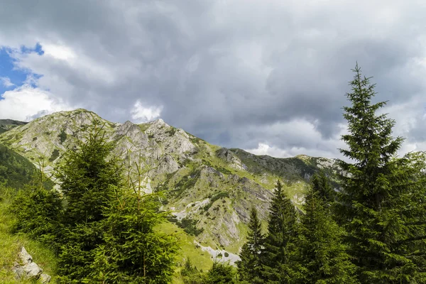 Alpler Yaz Manzarası Saf Doğa Buzul Vadisi — Stok fotoğraf