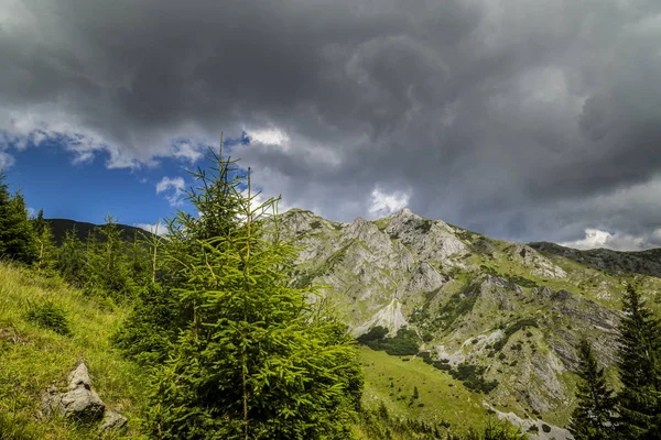 Alpler Yaz Manzarası Saf Doğa Buzul Vadisi — Stok fotoğraf