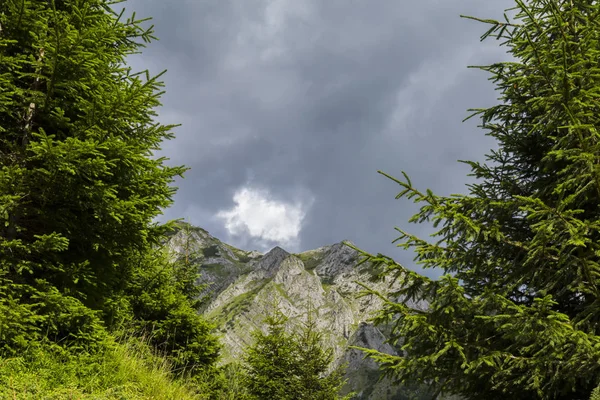 阿尔卑斯山中的夏季风景 有着纯洁的自然和冰川的山谷 — 图库照片