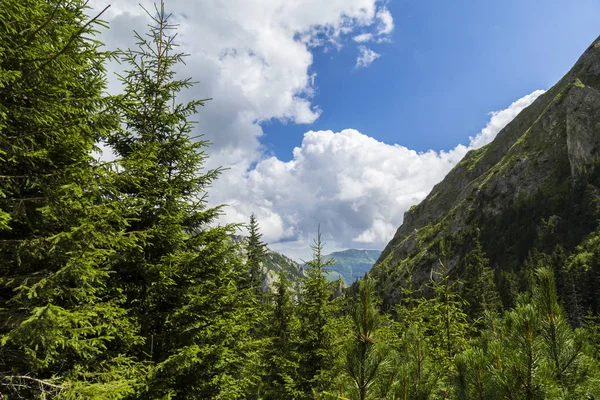 Paisaje Montañoso Verano Los Alpes Con Naturaleza Pura Valle Glaciar —  Fotos de Stock