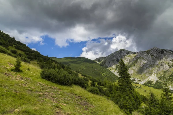 阿尔卑斯山中的夏季风景 有着纯洁的自然和冰川的山谷 — 图库照片