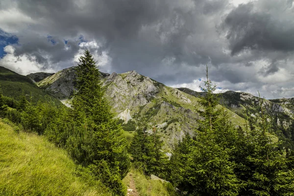 Sommerliche Bergkulisse Den Alpen Mit Natur Pur Und Einem Gletschertal — Stockfoto