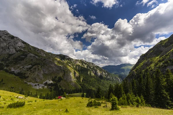 Sommerliche Bergkulisse Den Alpen Mit Natur Pur Und Einem Gletschertal — Stockfoto