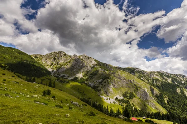 阿尔卑斯山中的夏季风景 有着纯洁的自然和冰川的山谷 — 图库照片