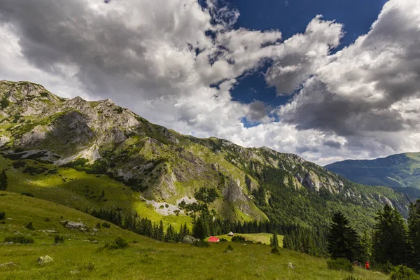 阿尔卑斯山中的夏季风景 有着纯洁的自然和冰川的山谷 — 图库照片