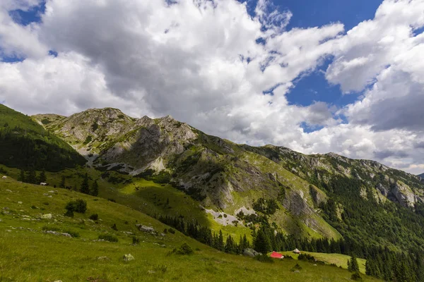 阿尔卑斯山中的夏季风景 有着纯洁的自然和冰川的山谷 — 图库照片