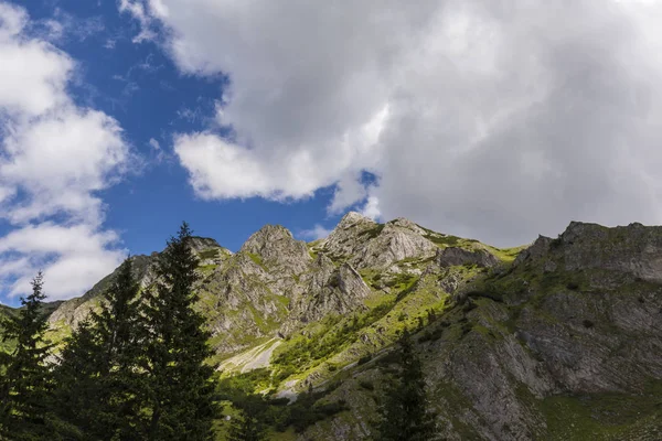 阿尔卑斯山中的夏季风景 有着纯洁的自然和冰川的山谷 — 图库照片