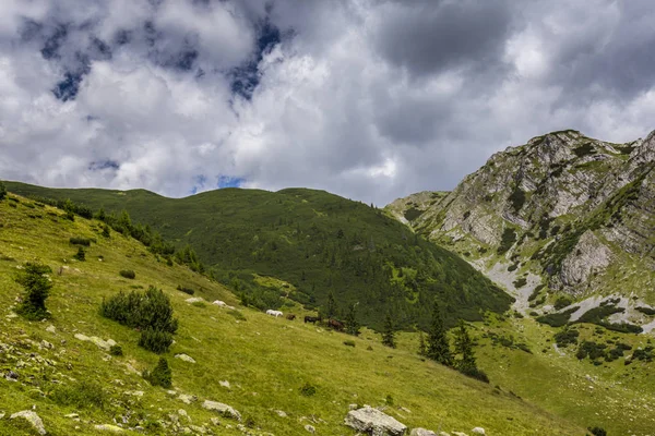 Paisaje Montañoso Verano Los Alpes Con Naturaleza Pura Valle Glaciar — Foto de Stock