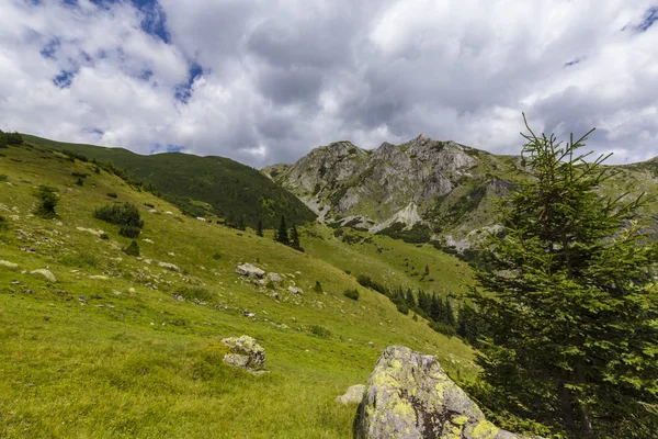 阿尔卑斯山中的夏季风景 有着纯洁的自然和冰川的山谷 — 图库照片