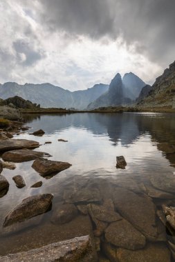 Alpler 'in yaz manzarası. Saf doğa ve buzul vadisi.