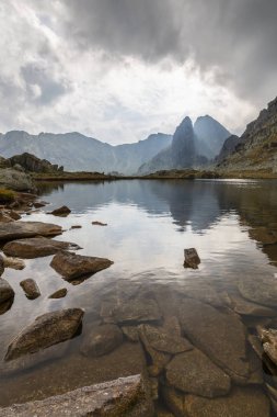 Alpler 'in yaz manzarası. Saf doğa ve buzul vadisi.