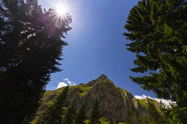 Καλοκαίρι Ορεινό Τοπίο Στις Άλπεις Καθαρή Φύση Και Μια Κοιλάδα — Φωτογραφία Αρχείου
