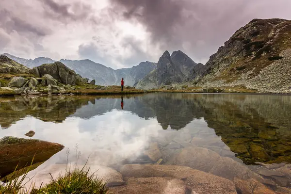 Summer Mountain Scenery Alps Pure Nature Glacier Valley — Stock Photo, Image