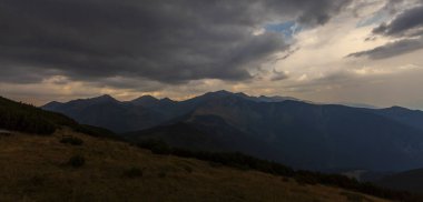 Yazın dağlarda özgürce dolaşan güzel vahşi atlar.