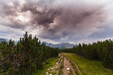 Yazın Alp dağlarında dramatik fırtına bulutları